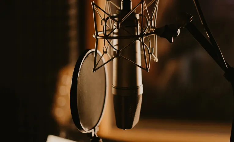 Microphone for voice recording and audio production